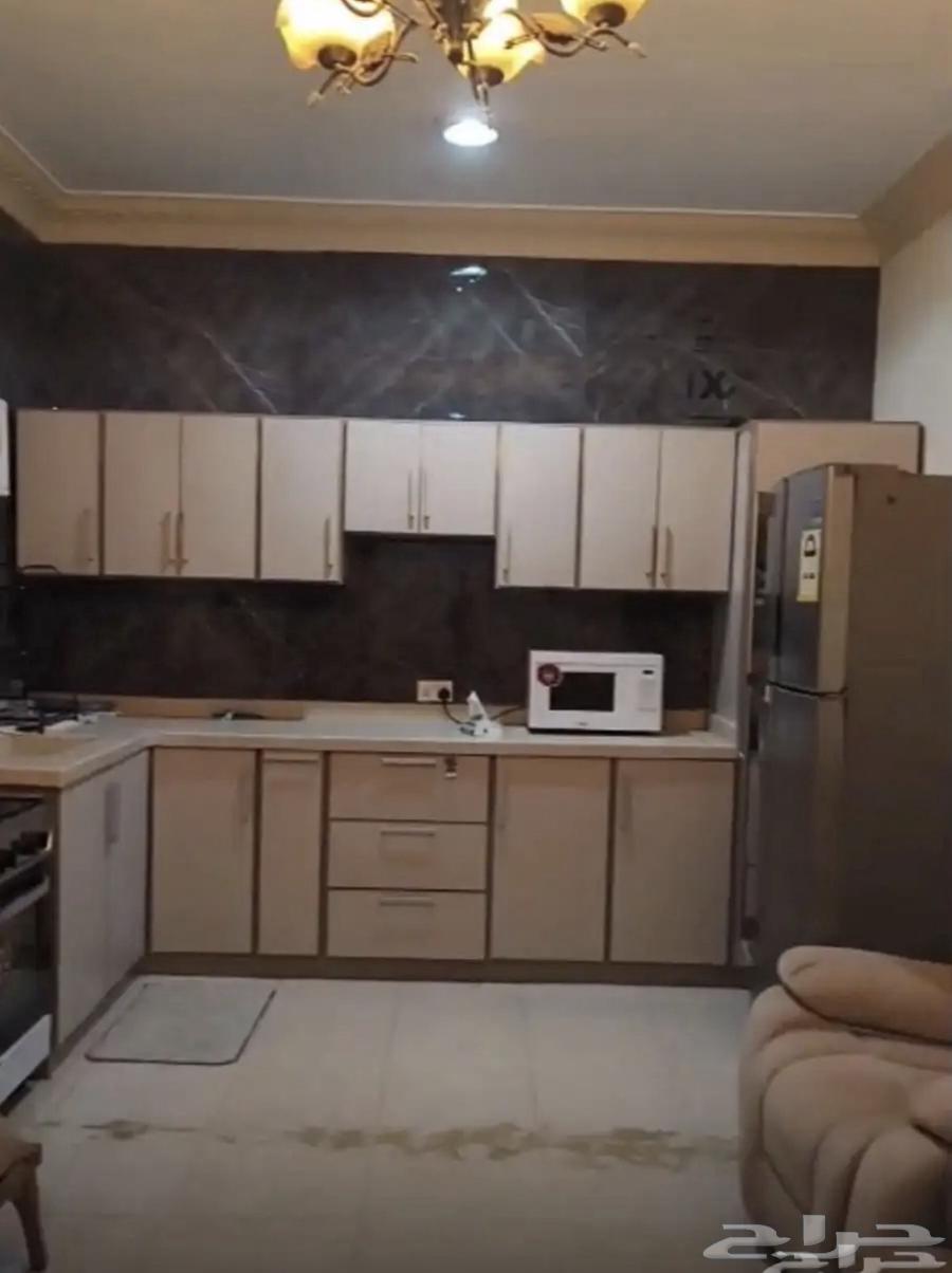 شقة 1 غرف في القادسية 3