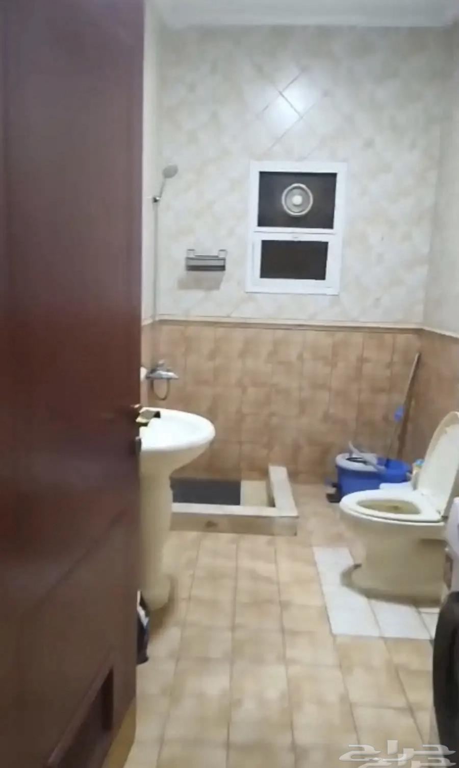 شقة 1 غرف في القادسية 4