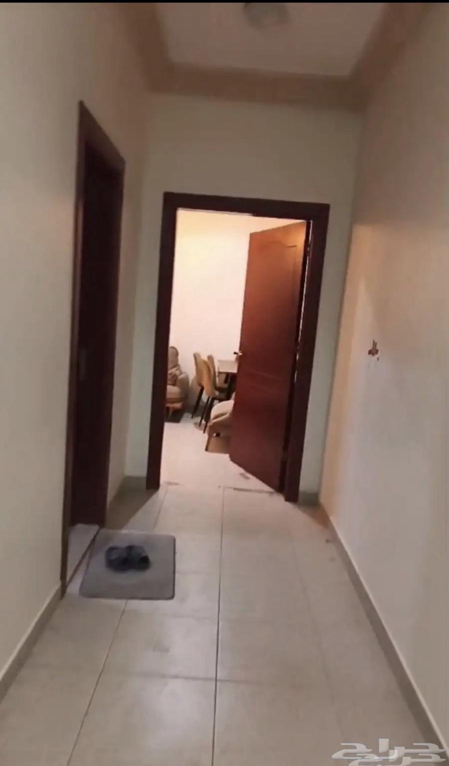 شقة 1 غرف في القادسية 5