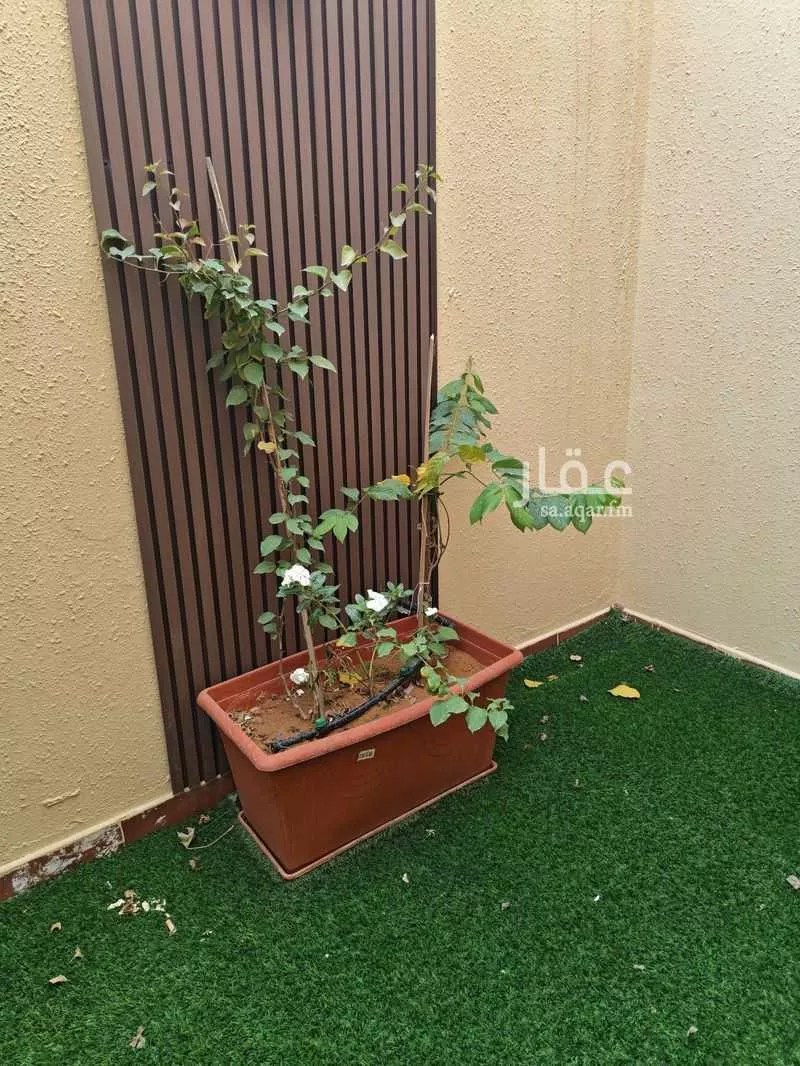 دور 2 غرف في التعاون 6