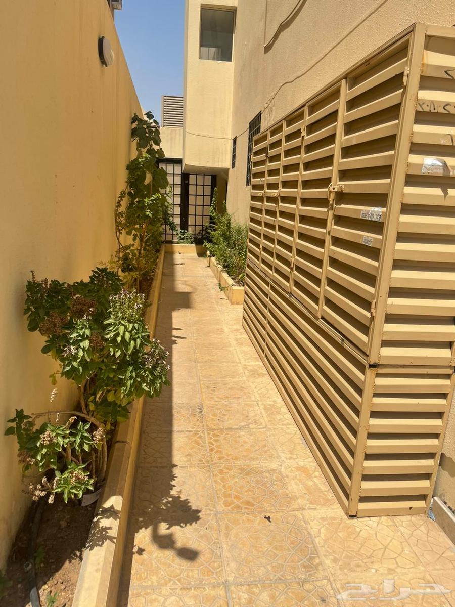 شقة 2 غرف في الملقا 10