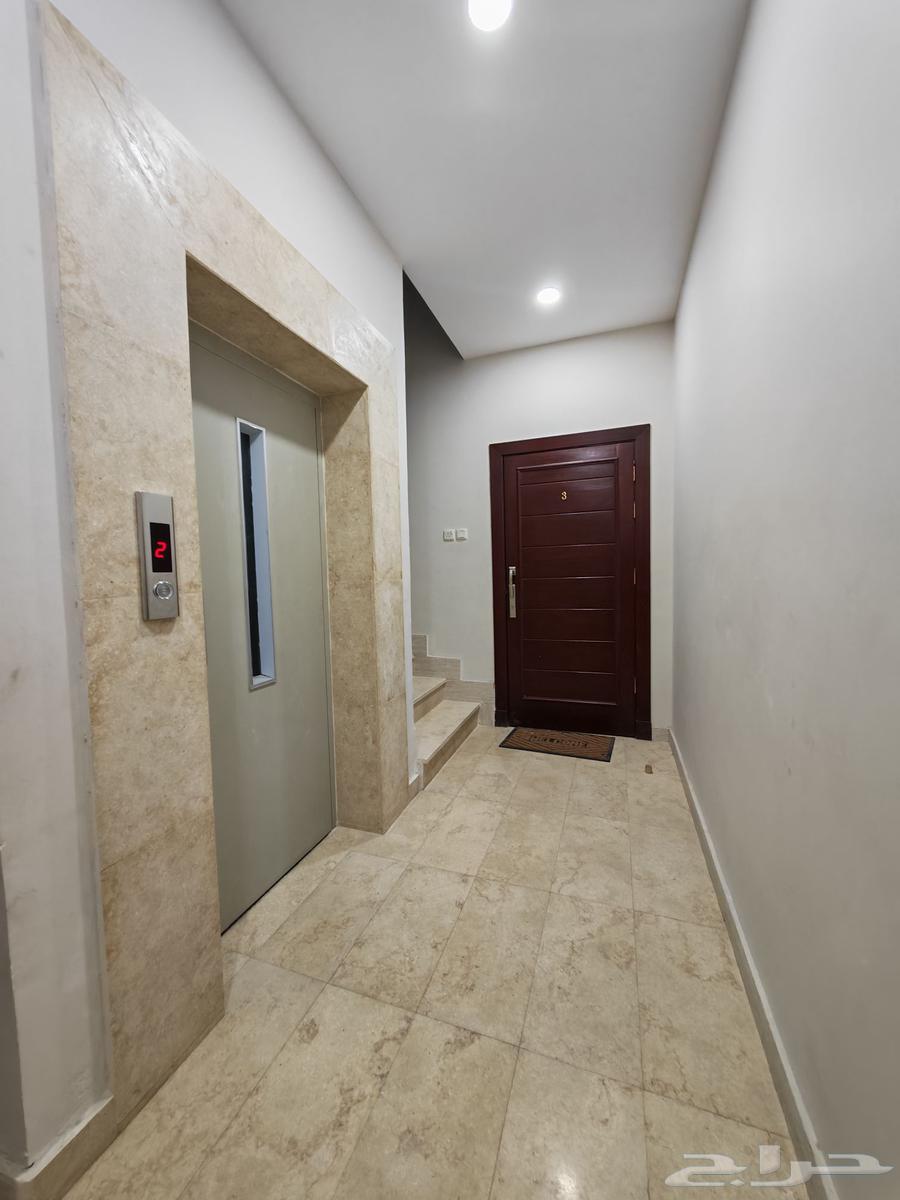 شقة 3 غرف في الصالحية 11