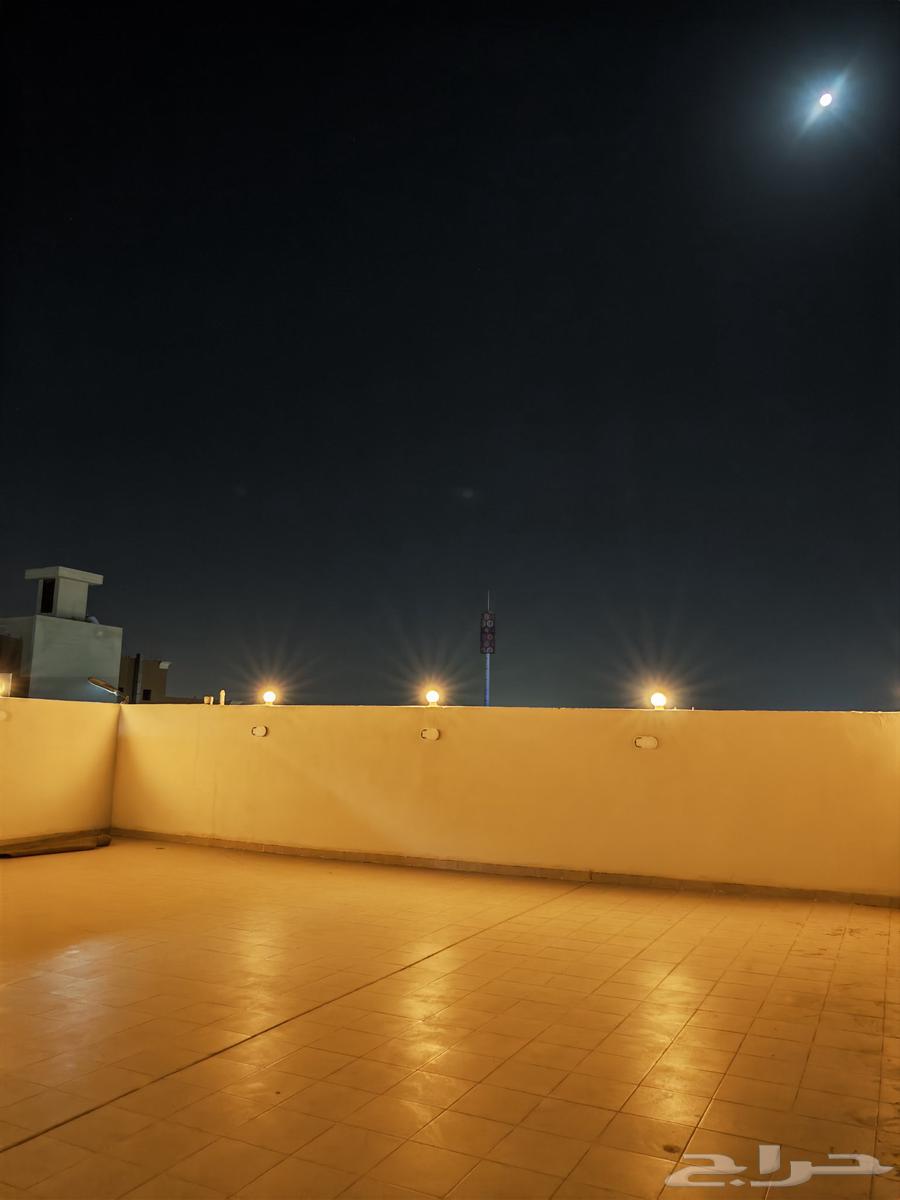 شقة 3 غرف في الصالحية 13