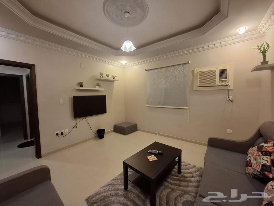 شقة 1 غرف في الربوة 8