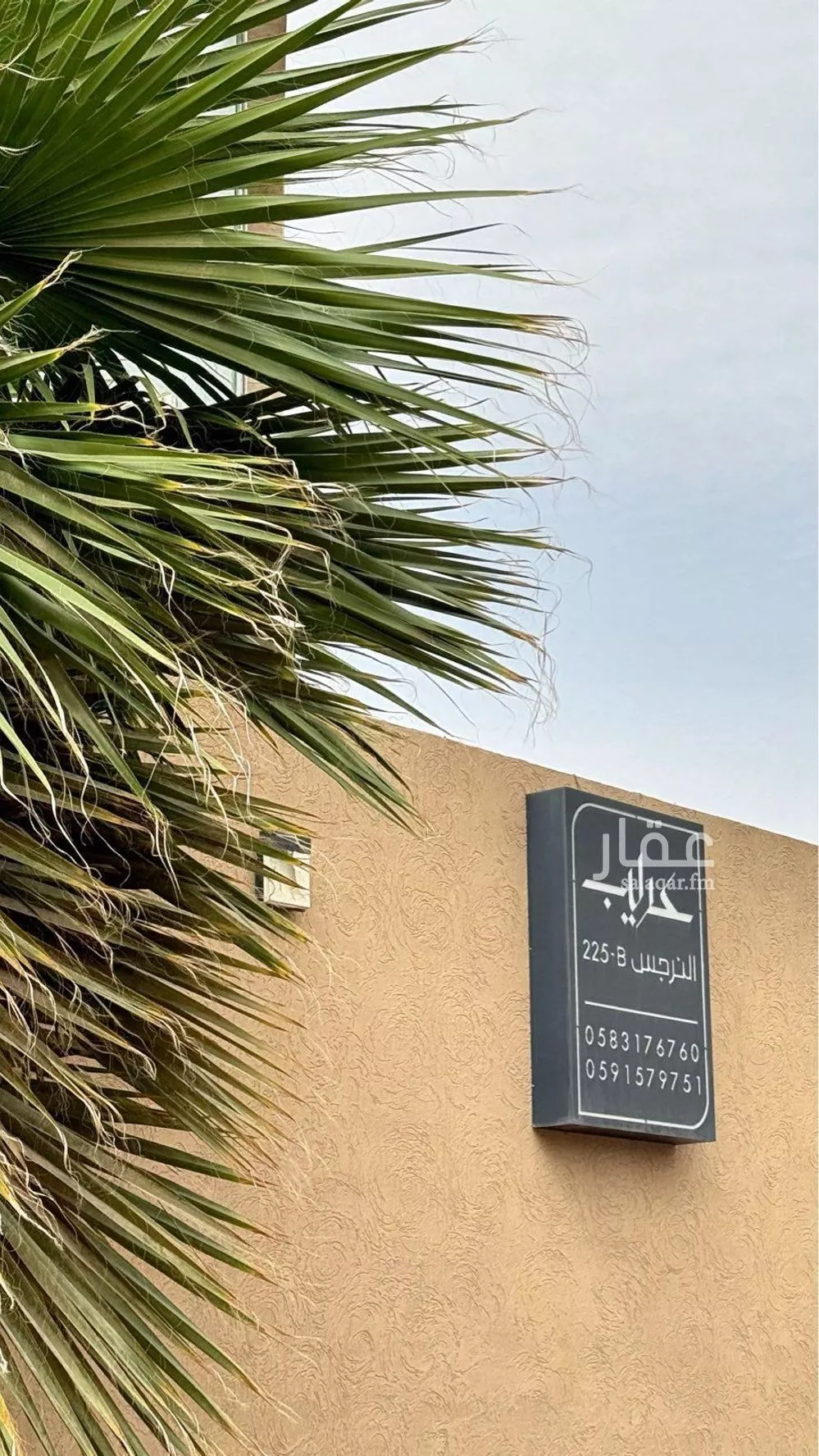 شقة 3 غرف في النرجس 7