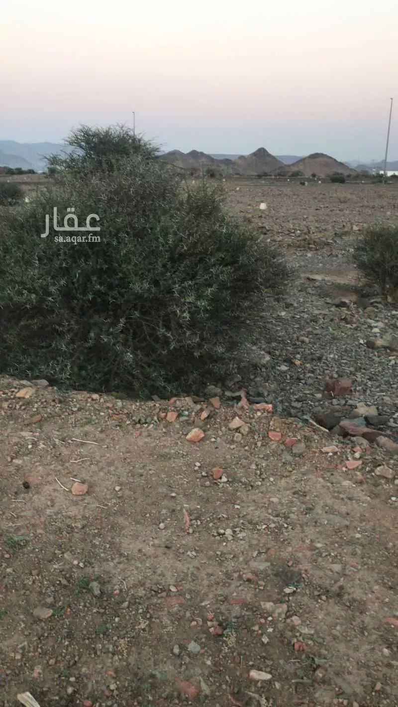 أرض 920 م² في البلقاء 2