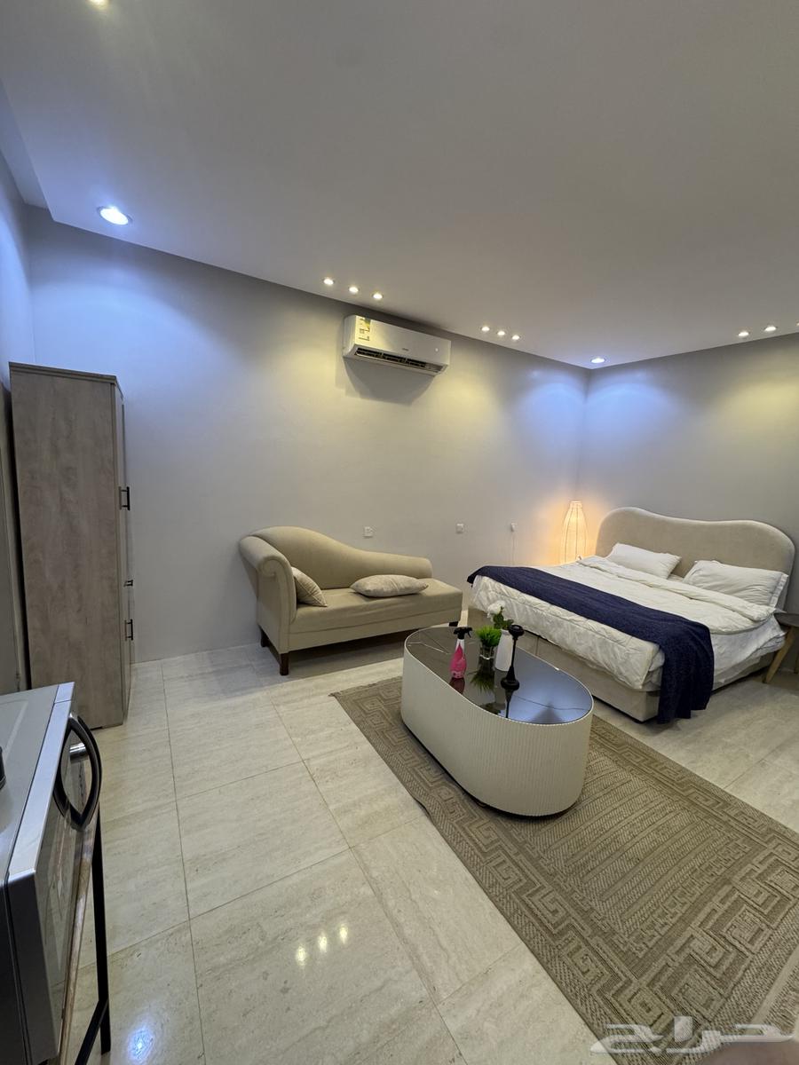 شقة  في عكاظ 2