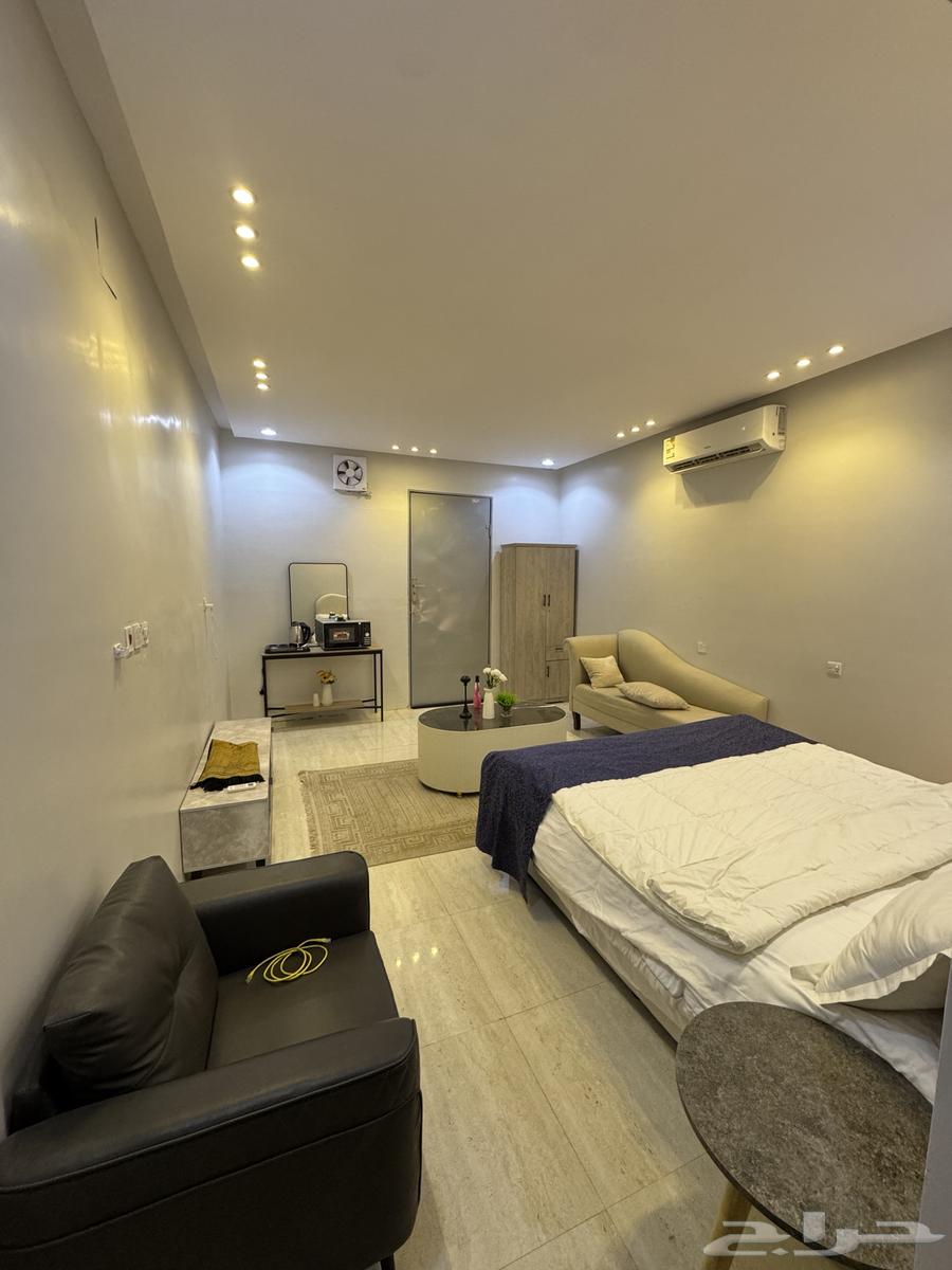 شقة  في عكاظ 4