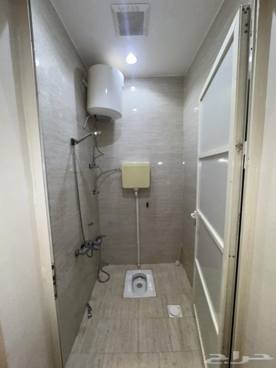 شقة  في عكاظ 5