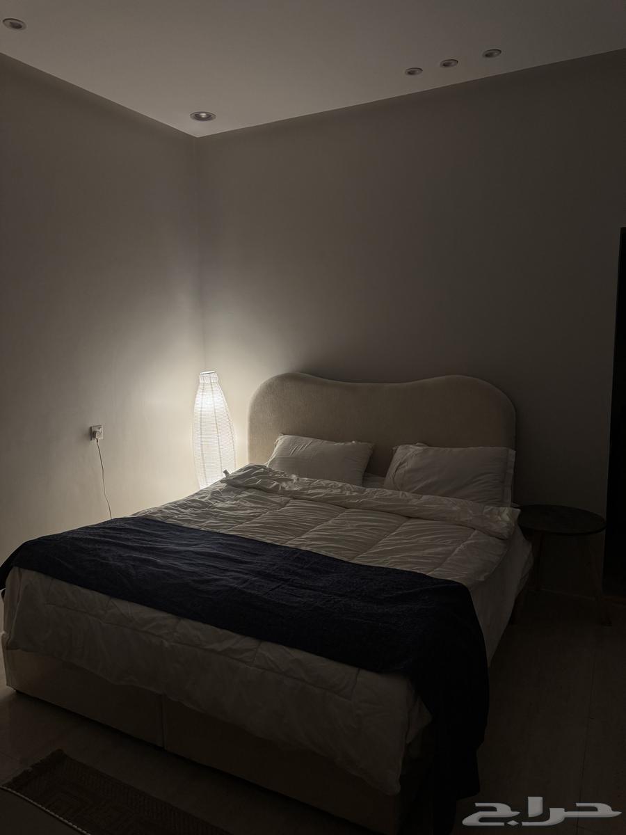 شقة  في عكاظ 9