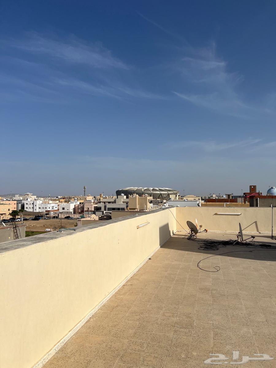 فيلا 19 غرف في الأصالة 2