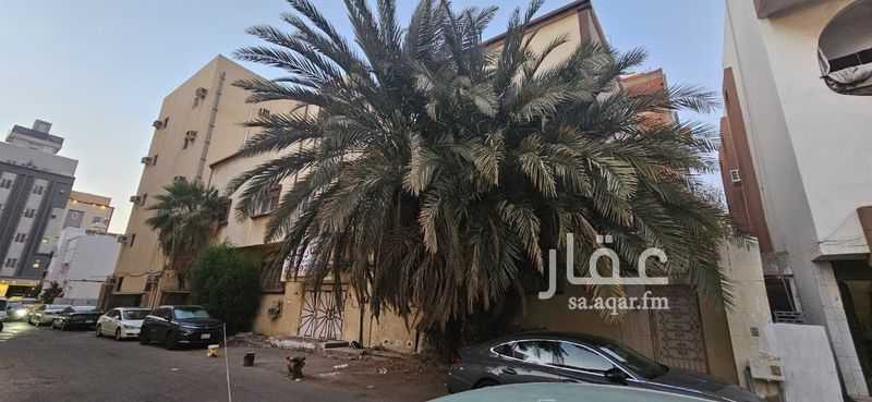 عقار 20 غرف في الربوة، جدة 4