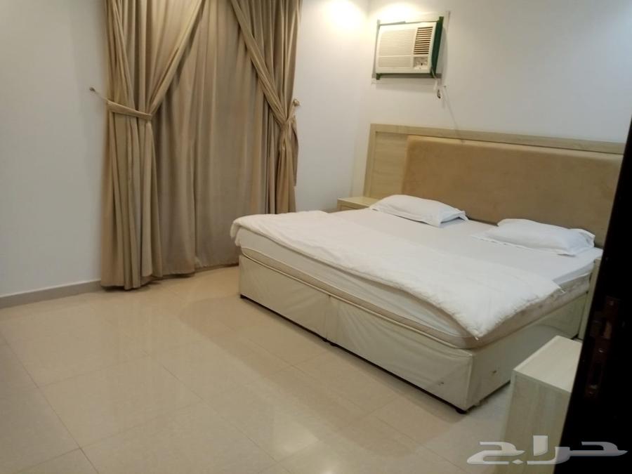 شقة 2 غرف في ظهرة لبن 3