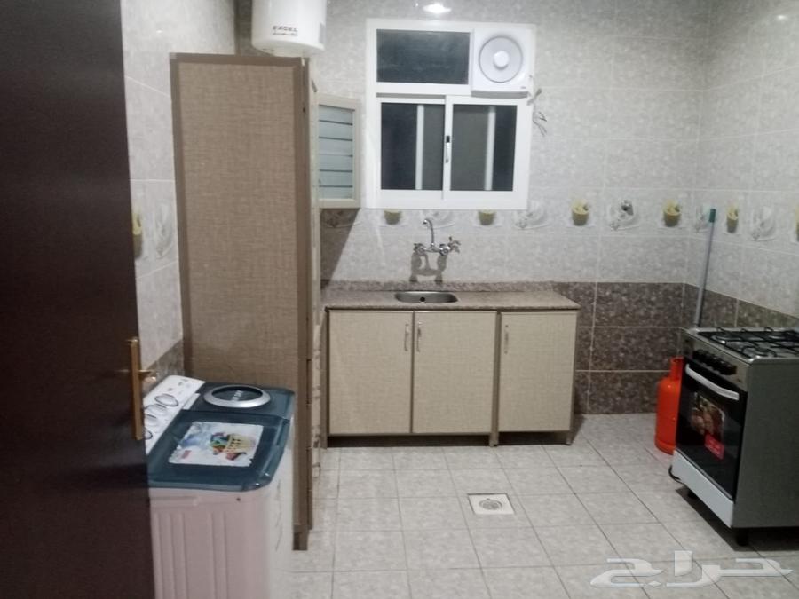 شقة 2 غرف في ظهرة لبن 4