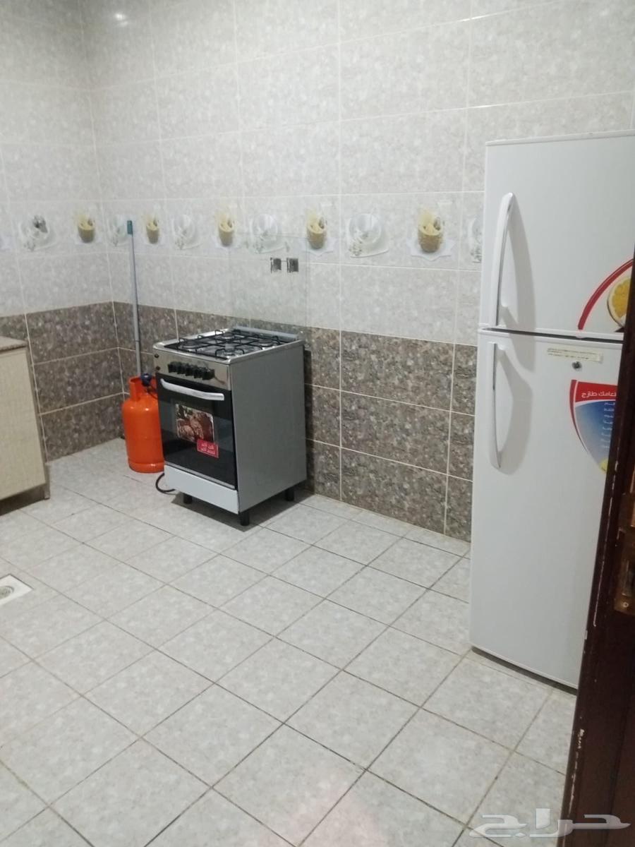 شقة 2 غرف في ظهرة لبن 5