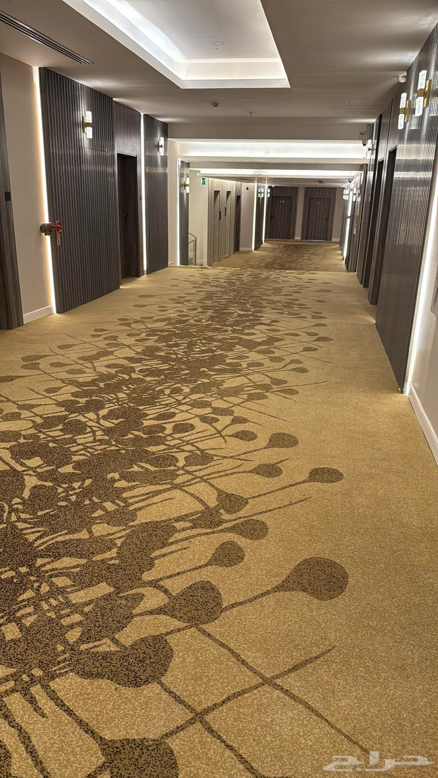 شقة 1 غرف في المحمدية 5