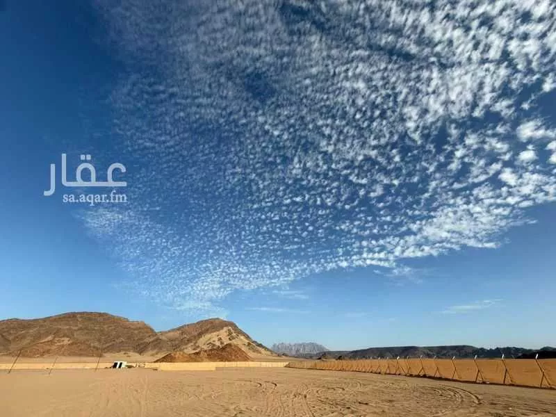 30000 sqm land in Al Balqaa 4