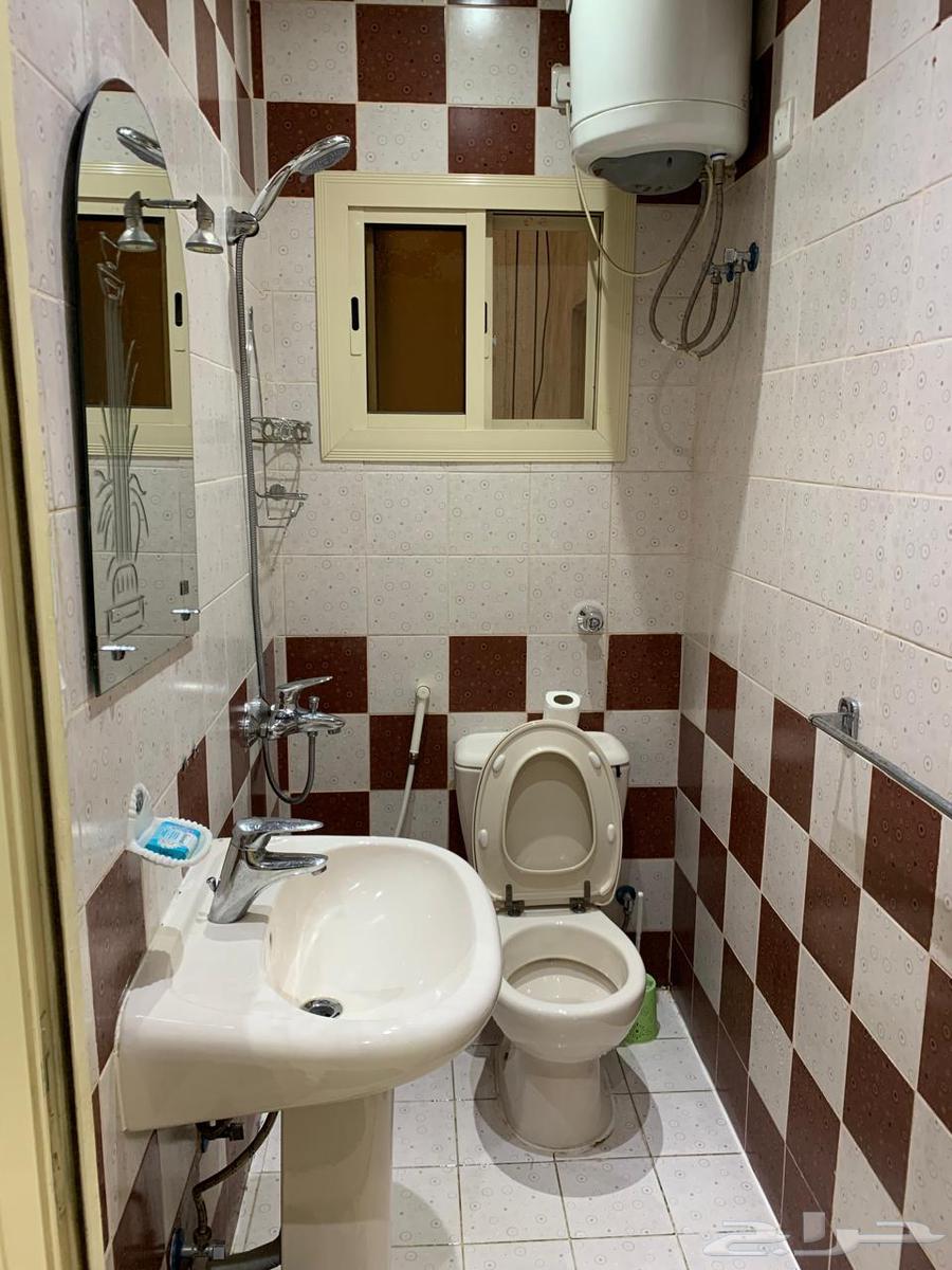 شقة 2 غرف في الشهداء 2