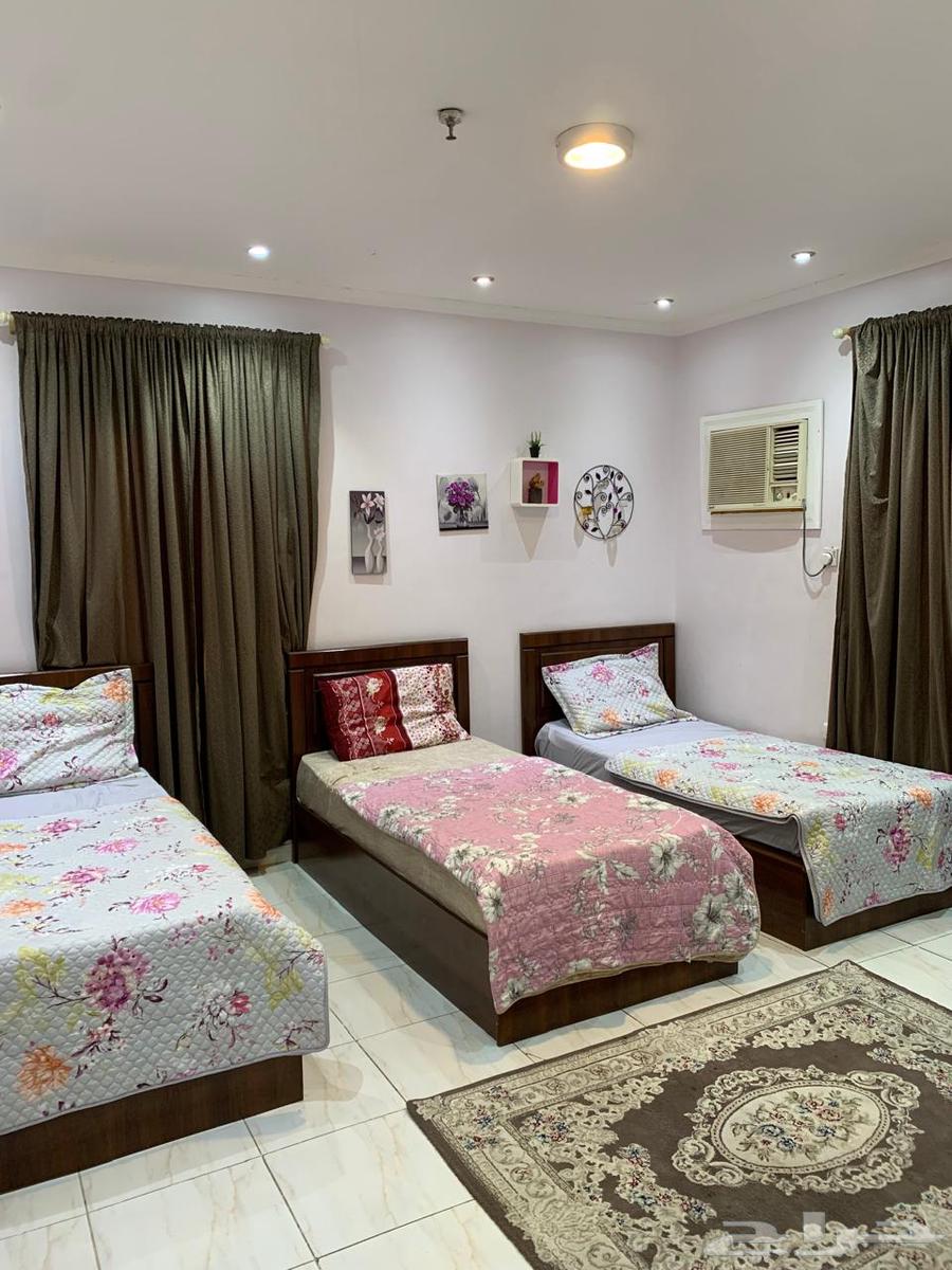 شقة 2 غرف في الشهداء 3