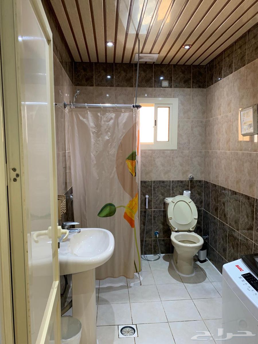 شقة 2 غرف في الشهداء 4