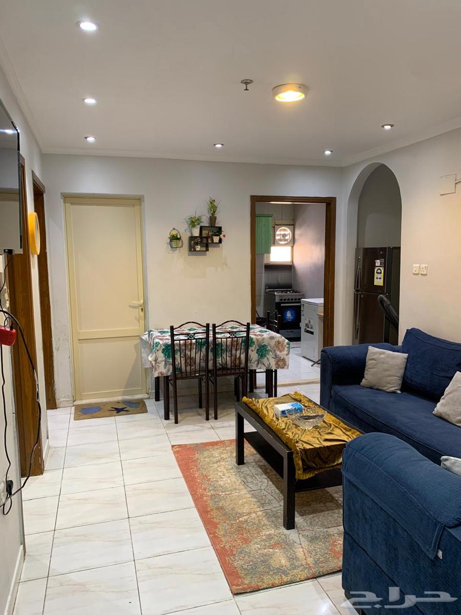 شقة 2 غرف في الشهداء 6