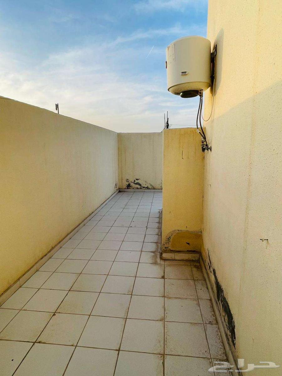 شقة 1 غرف في الحمراء 32