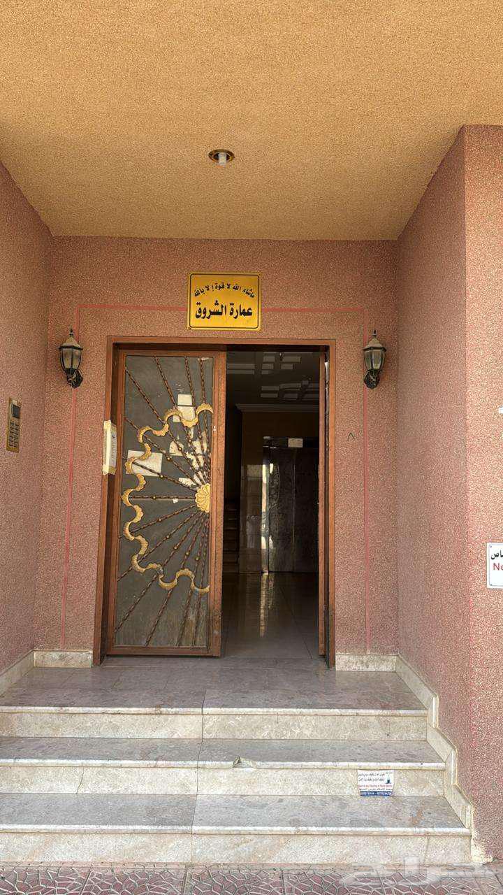 شقة 1 غرف في العقيق 2