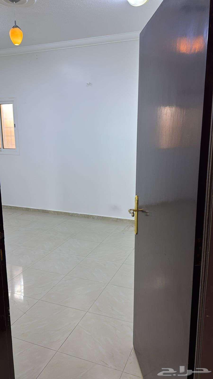 شقة 1 غرف في العقيق 11