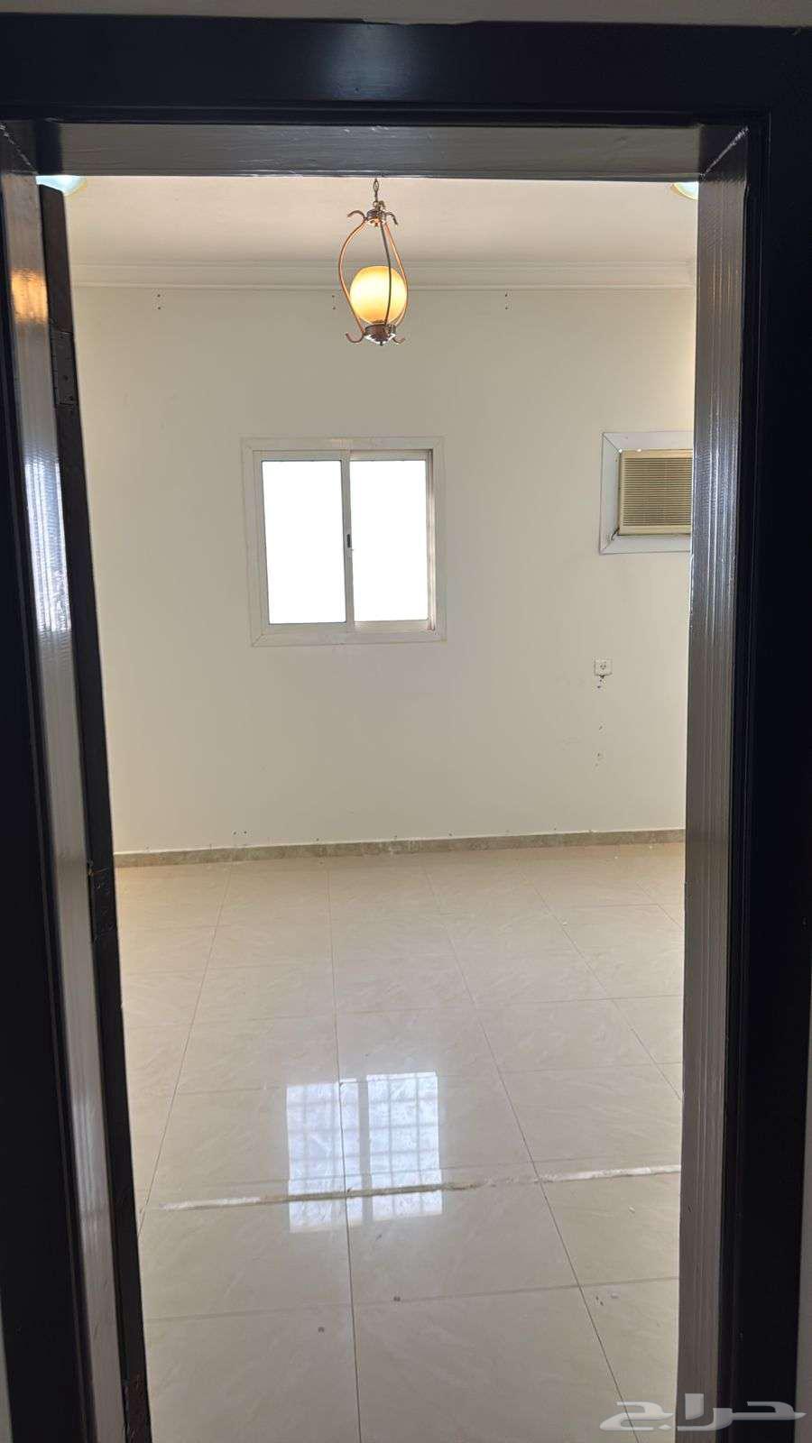 شقة 1 غرف في العقيق 13