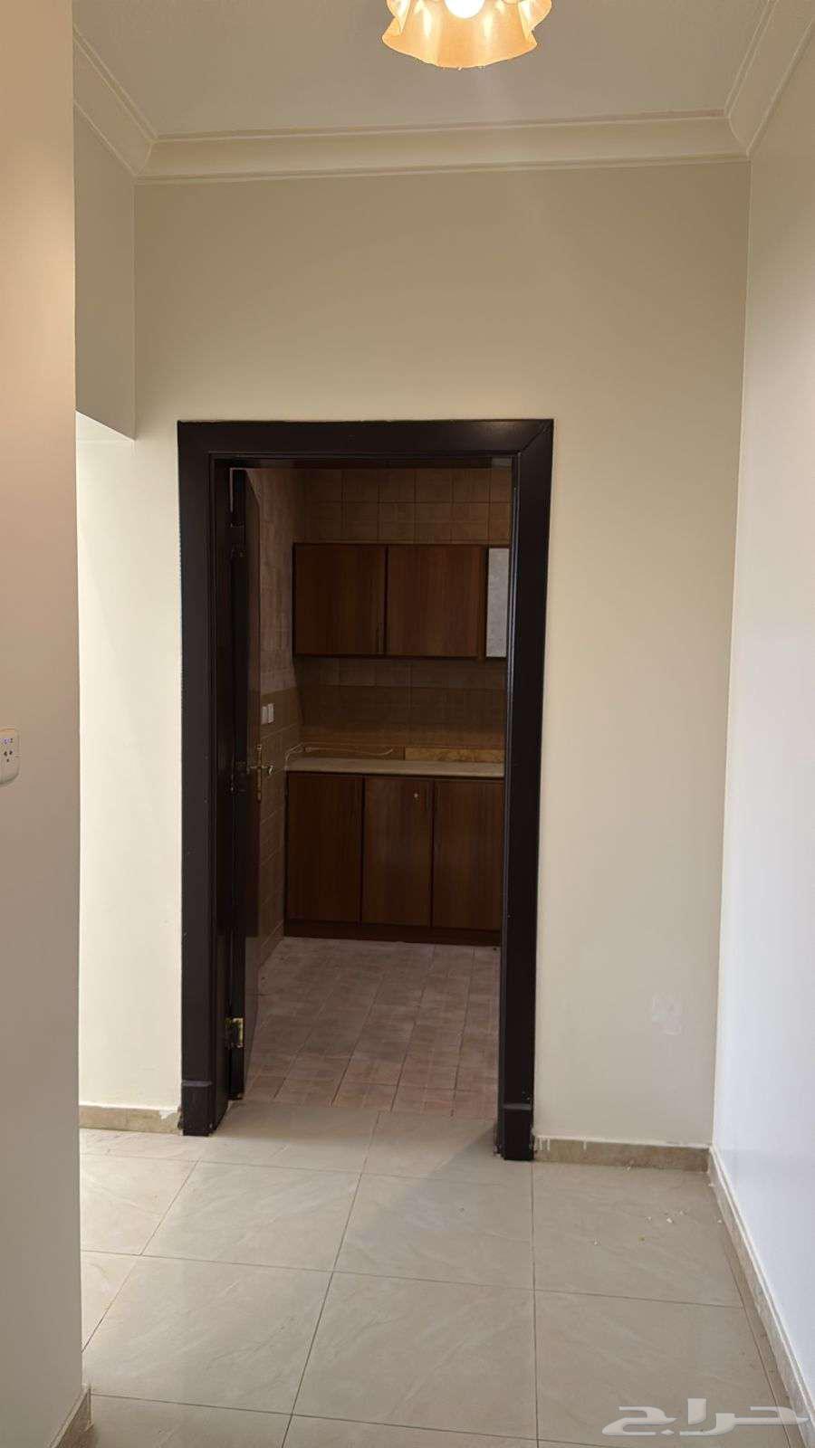 شقة 1 غرف في العقيق 14