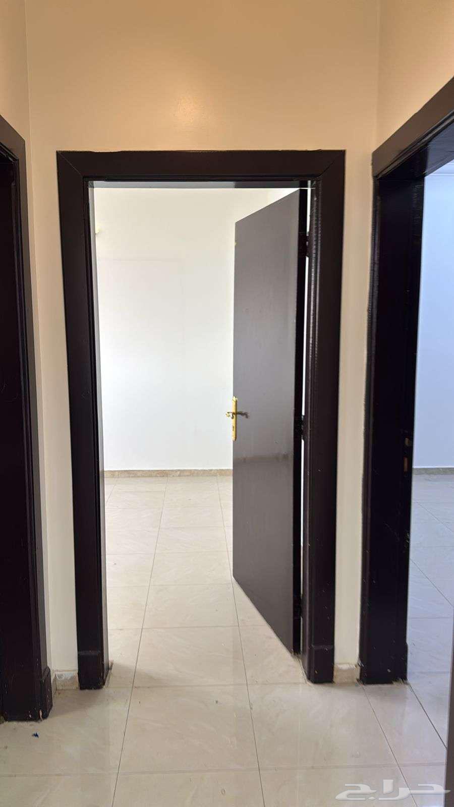 شقة 1 غرف في العقيق 8