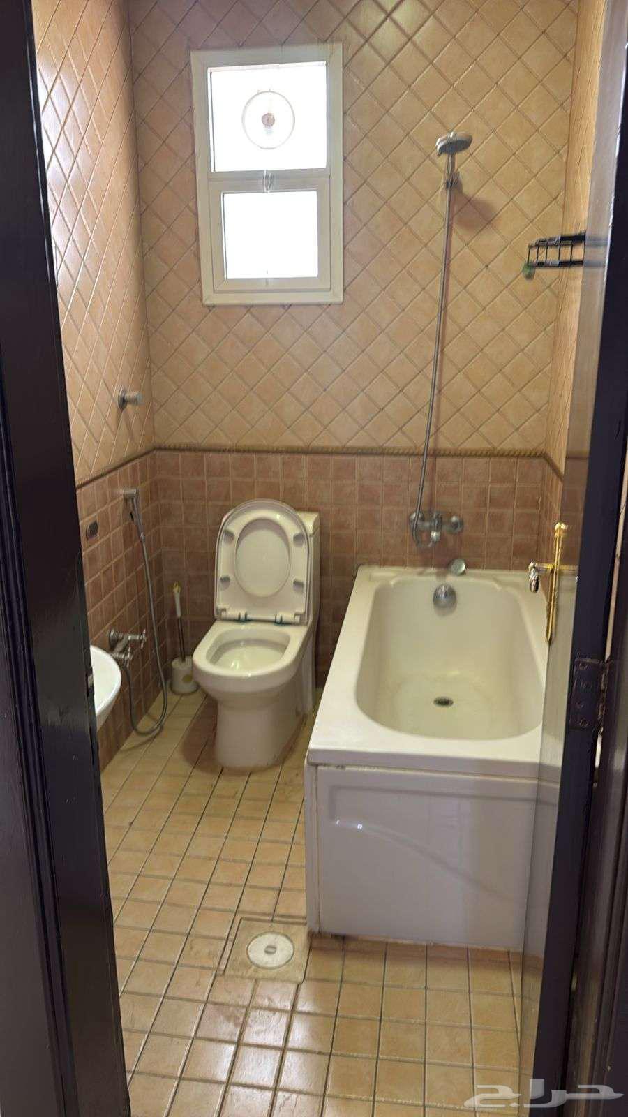 شقة 1 غرف في العقيق 10