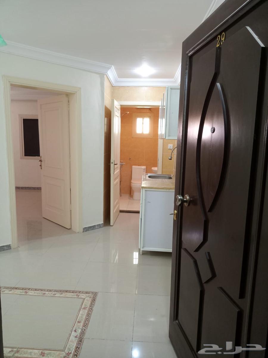 شقة 1 غرف في الفيصلية 2