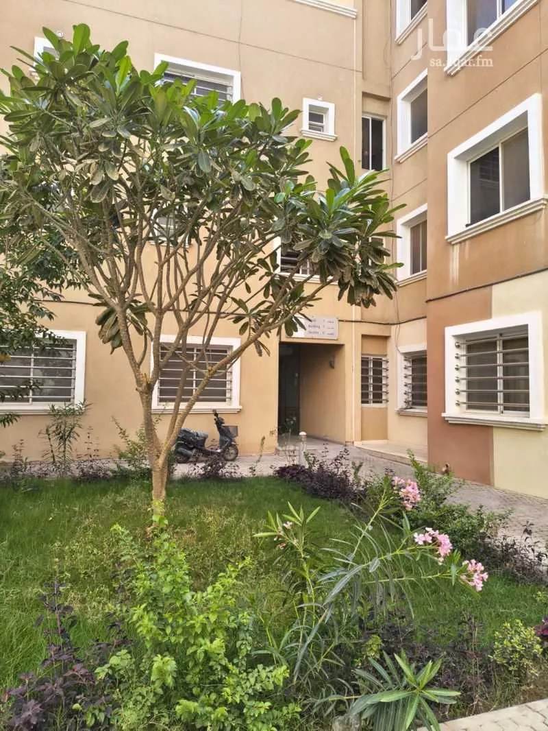 شقة 3 غرف في قرطبة 2