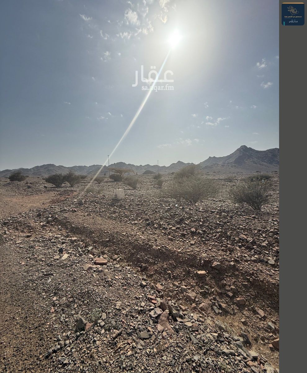land in Al Balqaa, Madinah 12