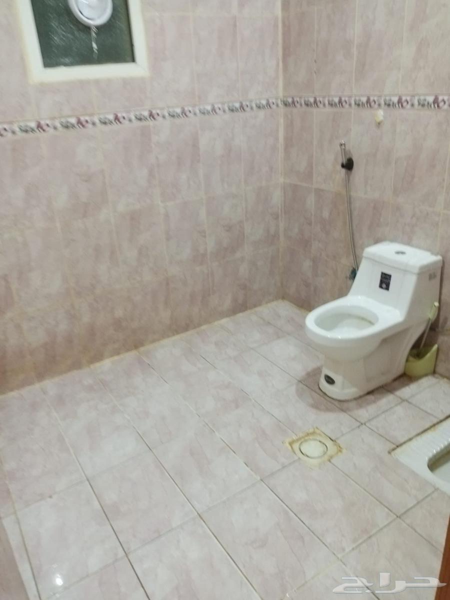 شقة 1 غرف في ظهرة لبن 8