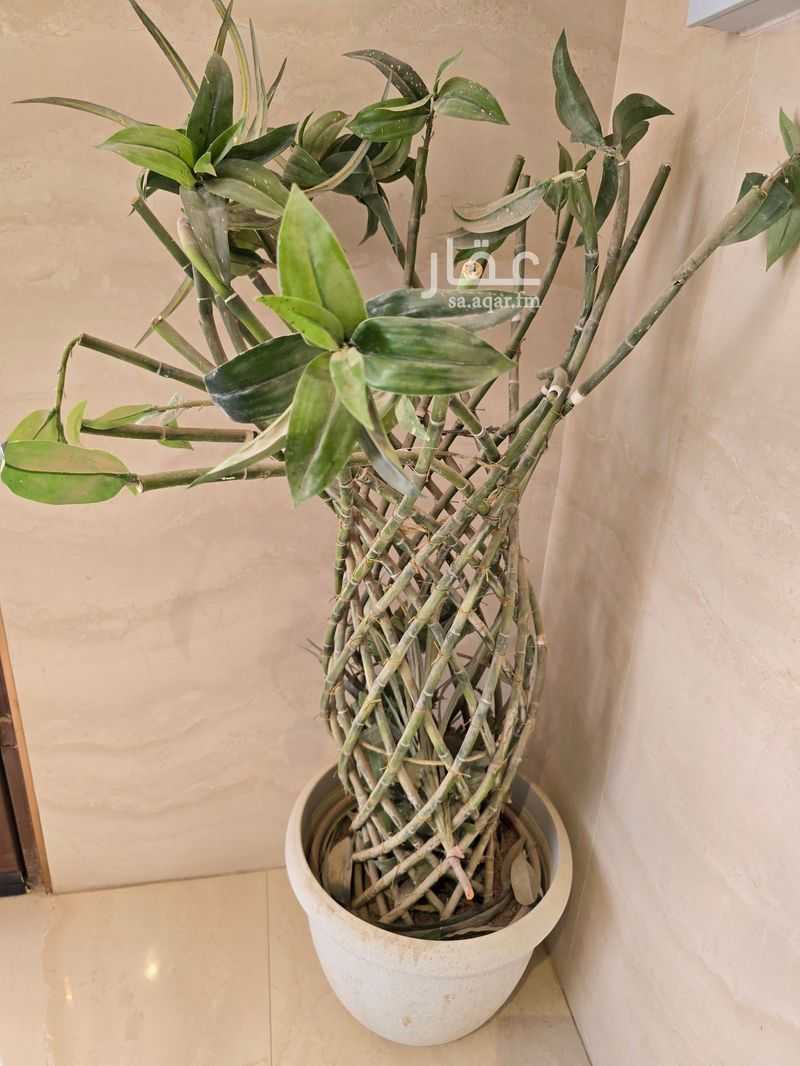 3 bedroom apartment in Al Ghadir, Riyadh 23