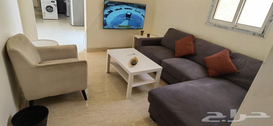 شقة 2 غرف في الضباط 2