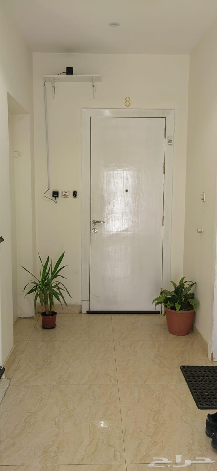 شقة 2 غرف في الضباط 7