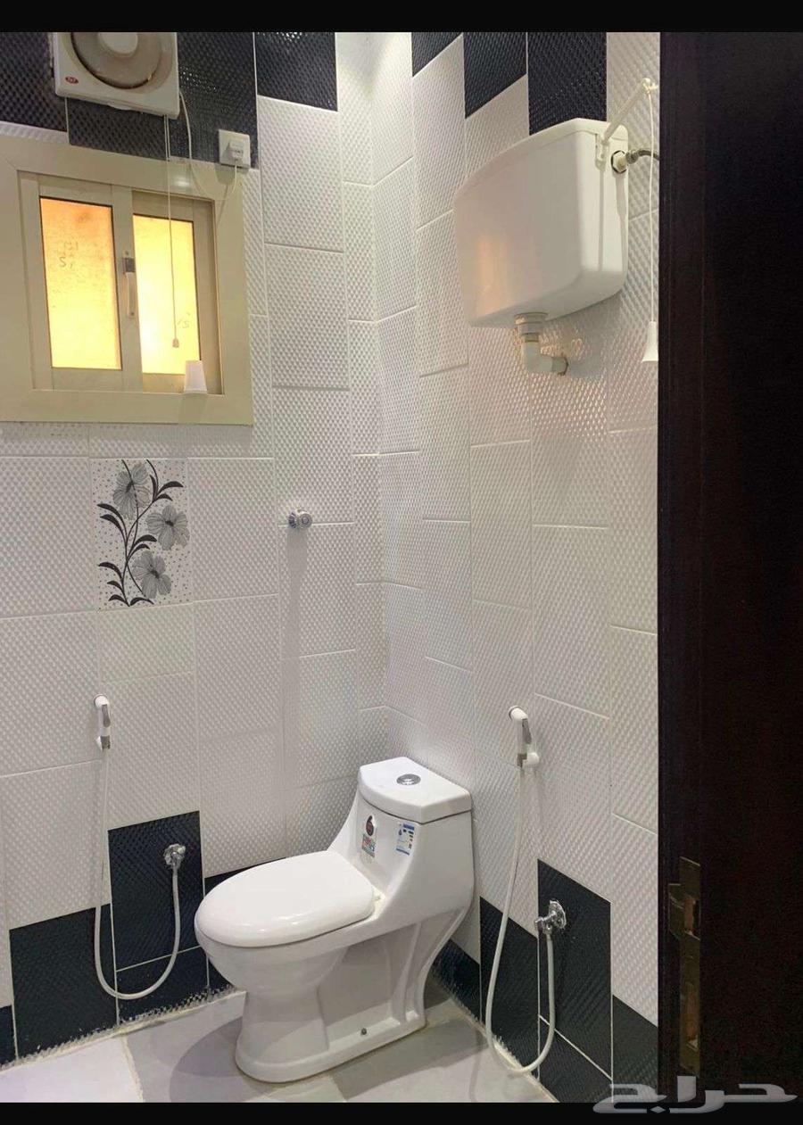 شقة 3 غرف في الصالحية 4