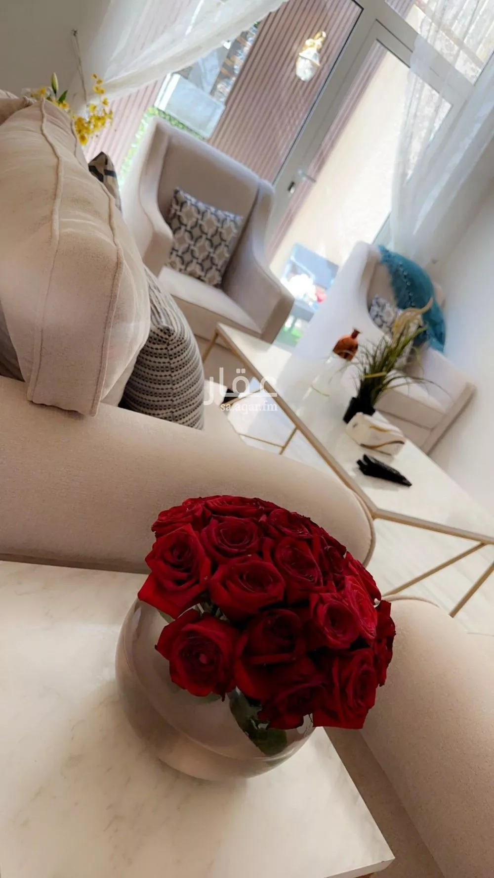 شقة 3 غرف في الملك فيصل 24