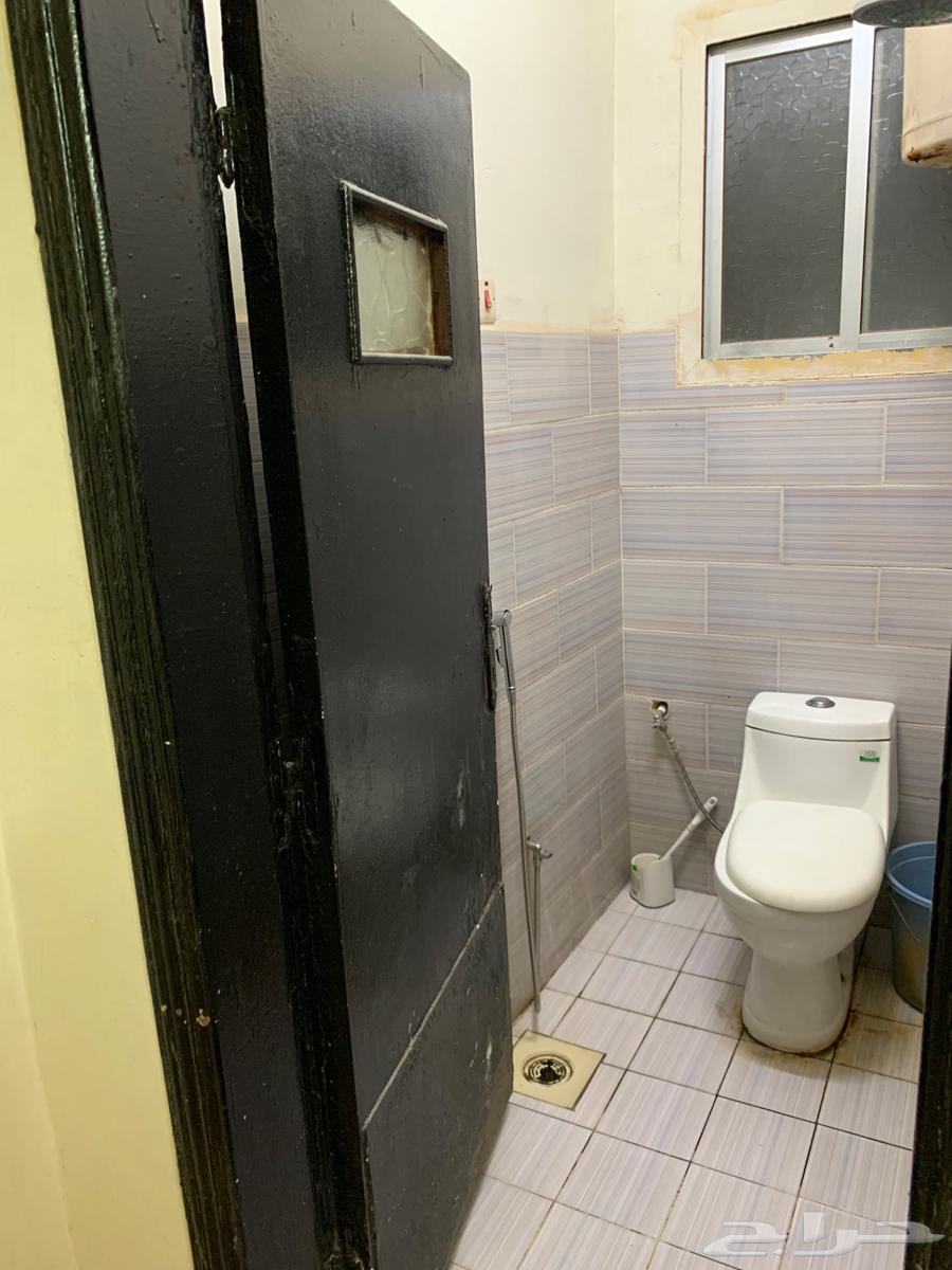 شقة 2 غرف في سكيرينة 3