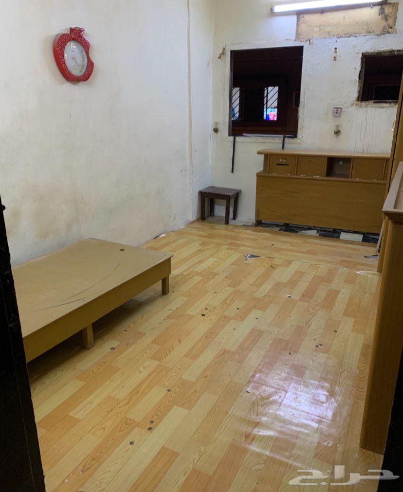 شقة 2 غرف في سكيرينة 4