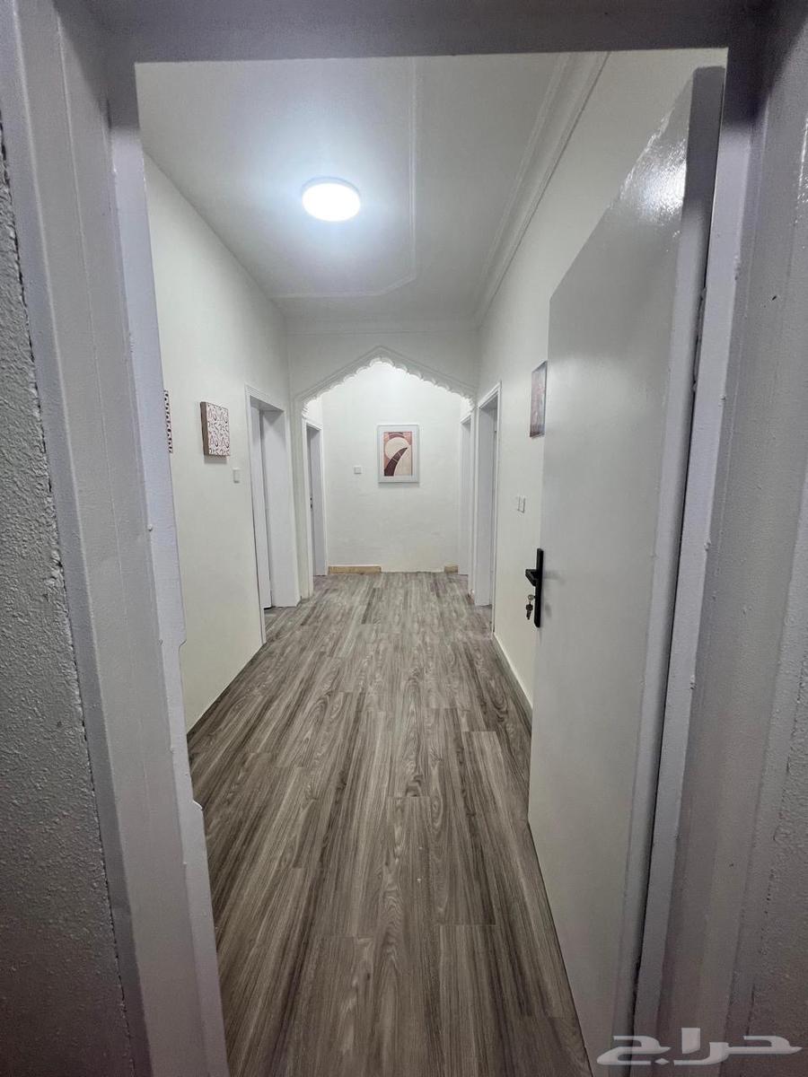 شقة 1 غرف في الحمراء 13