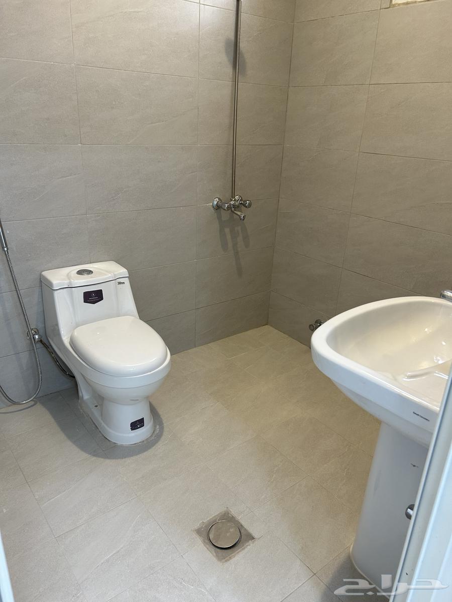 شقة 1 غرف في الحمراء 4