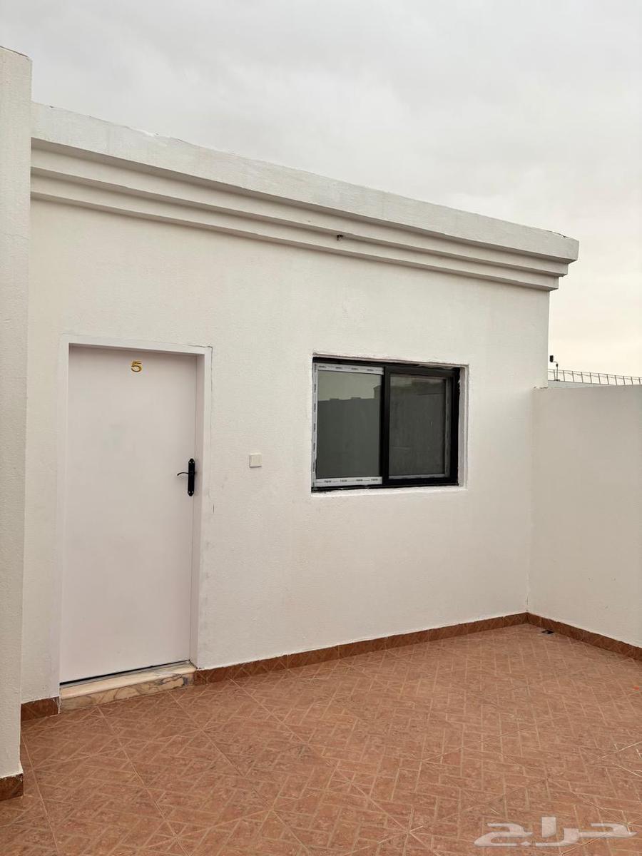 شقة 1 غرف في الحمراء 7