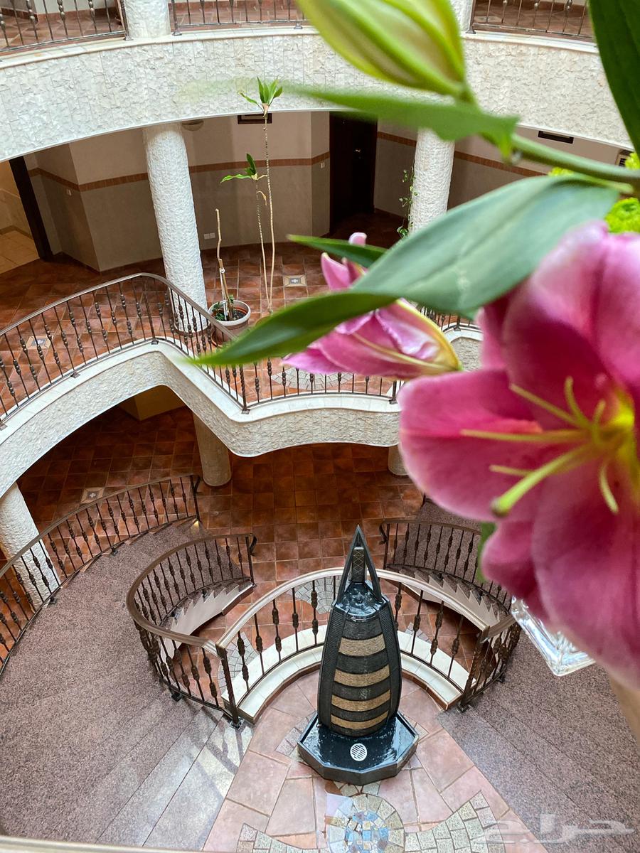 شقة 1 غرف في السلامة 20