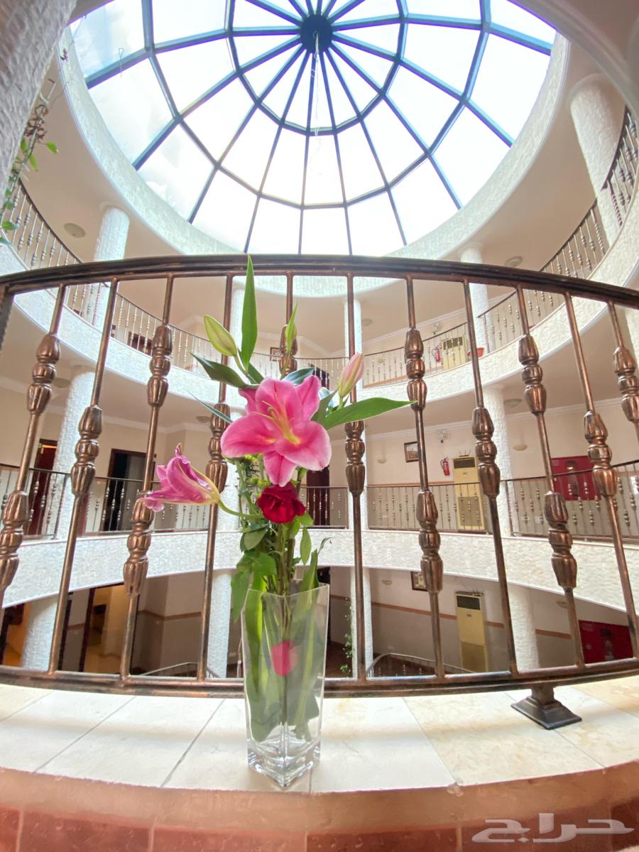 شقة 1 غرف في السلامة 31