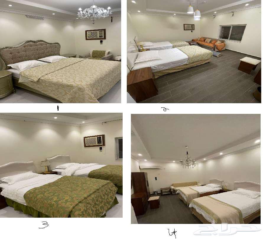 شقة 53 غرف في مسجد الدرع 6