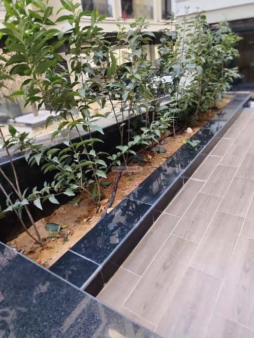 4 bedroom apartment in Al Hizam Al Thahabi, Eastern Province 2